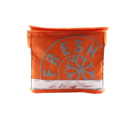 bolso-nevera-6-lat805709