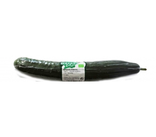 fruteria-pepino-holandes-ecologico-bouquet-bio-unidad