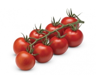 fruteria-tomate-rama-unidad