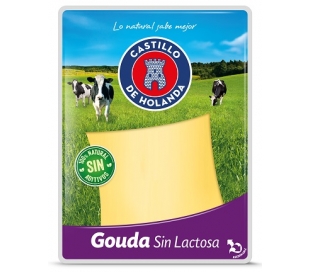 queso-gouda-lonchas-el-castillo-200-grs