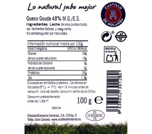 QUESO GOUDA AHORRO EL CASTILLO 100 GRS.