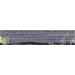 galletas-original-oreo-66-grs