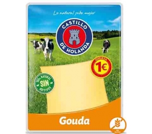 QUESO GOUDA AHORRO EL CASTILLO 100 GR.