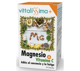 MAGNESIO+VIT.C VITTAL.30U