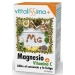 magnesiovitamina-c-capsulas-vittalissima-30un