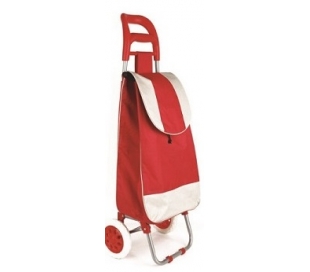 CARRO COMPRA 2R. 418506