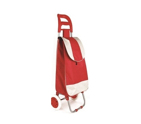 carro-de-compra-bn-5609