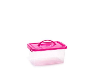 CAJA MINIBOX 4L.11338