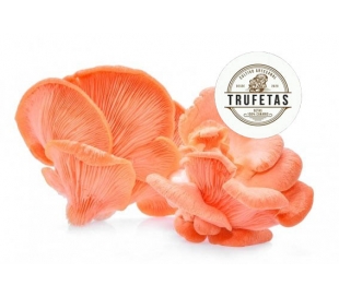 fruteria-setas-variedad-rojas-200-grs