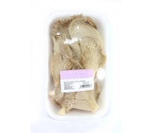 VERDURA ENVASADA SETA . 200 GR.