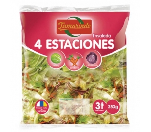 ESPECIALIDAD ENVASADA ENSALADA 4 ESTACIONES TAMARINDO 250 GR.