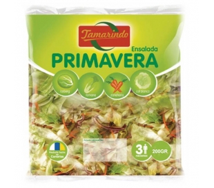 ESPECIALIDAD ENVASADA ENSALADA PRIMAVERA TAMARINDO 200 GR.