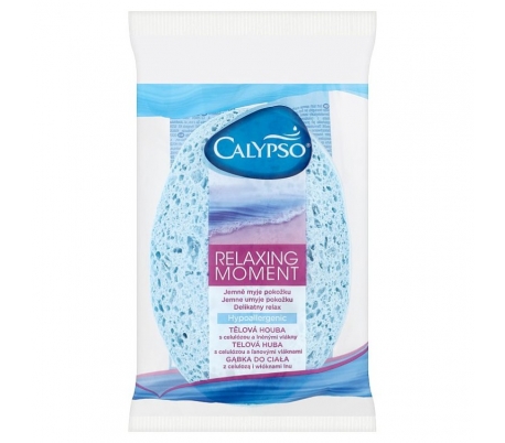 esponja-calypso-relax-spontex-1-un