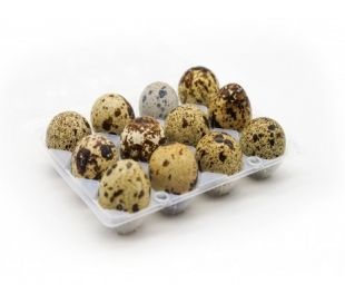 huevos-codorniz-12-un