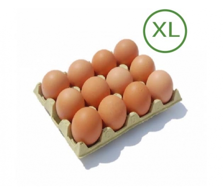 huevos-xl-12-un