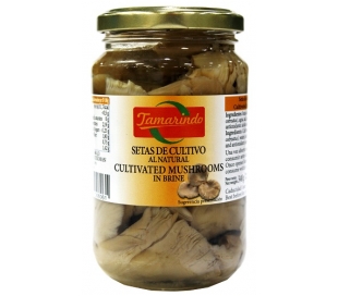 SETAS DE CULTIVO TAMARINDO 180 GR.