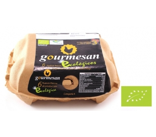 huevos-ecologico-6-unidades