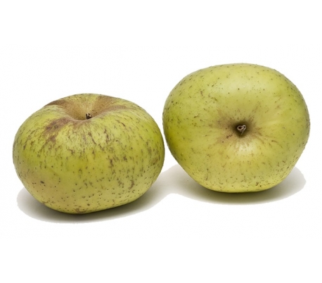 fruteria-manzana-reineta-unidad