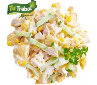 ENSALADA TROPICAL CON POLLO, PESO APROX. 250 GRS.