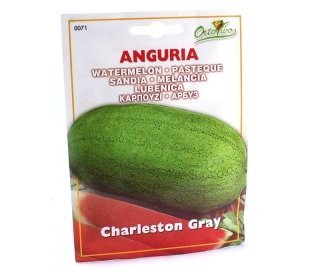 SEMILLAS HORTICOLAS HORTUS 1 UN.