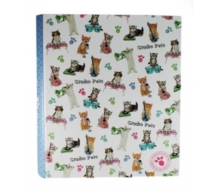 carpeta-4-anillas-licenci