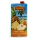 nectar-pera-pina-sin-azucar-tamarindo-1-l