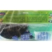 estropajo-frotamax-stop-grasa-spontex-11-gratis