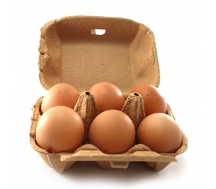 huevos-ecologico-6-unidades