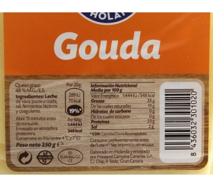 QUESO GOUDA LONCHAS EL CASTILLO 500 GRS.