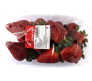 FRUTERIA FRESAS . 500 GRS.