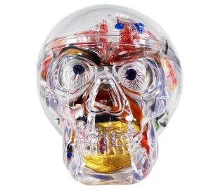 calavera-cristal-miguelanez-200-gr