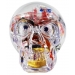 calavera-cristal-miguelanez-200-gr