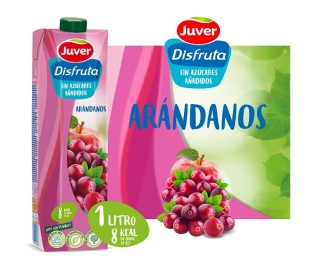 ZUMO EXOTICO ARANDANOS JUVER 1 L.