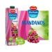 zumo-exotico-arandanos-juver-1-l