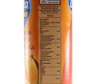 zumo-exotico-naranjamangozanaho-juver-1-l