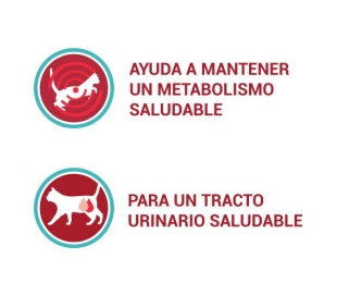 comida-gatos-esterilizados-salmon-pavo-purina-one-pack-4x85-grs