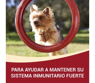 comida-perro-my-dog-is-adult-purina-one-pack-4x100-grs