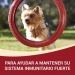 comida-perro-my-dog-is-adult-purina-one-pack-4x100-grs