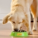 comida-perro-en-salsa-pollocordero-y-buey-friskies-pack-12x100-grs
