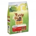 comida-perros-active-friskies-3-kg