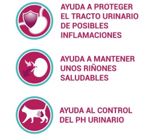 COMIDA GATO URINARY CARE PURINA ONE 800 GRS.