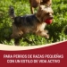 comida-perros-active-purina-activ-800-grs