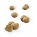 snack-gato-dentalife-salmon-purina-40-grs