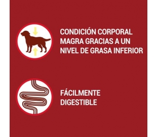 comida-perros-mini-control-de-peso-pavo-purina-one-pack-4x100-grs