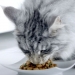 comida-gatos-adult-pollo-buey-purina-one-pack-4x85-grs