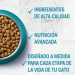 comida-gatos-junior-purina-one-450-gr
