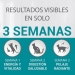 comida-gatos-junior-purina-one-450-gr