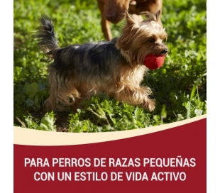 comida-perro-my-dog-active-buey-purina-one-pack-4x100-grs