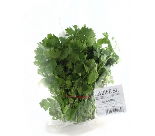 CILANTRO UDAD. +