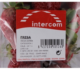 FRUTERIA FRESAS . 250 GRS.